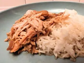 Closeup of a plate of shredded pork and rice.