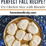 Chicken stew with biscuits pot with suggested fall recipe