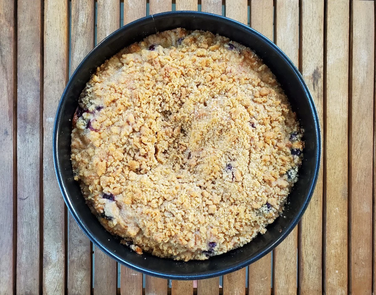 Overhead of blueberry streusel coffee cake in the springform pan.