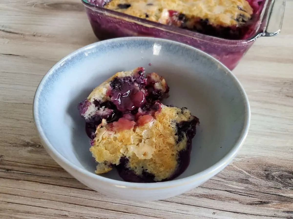 Image shows Blueberry Pudding Cake in a blue bowl with the full dish behind it.