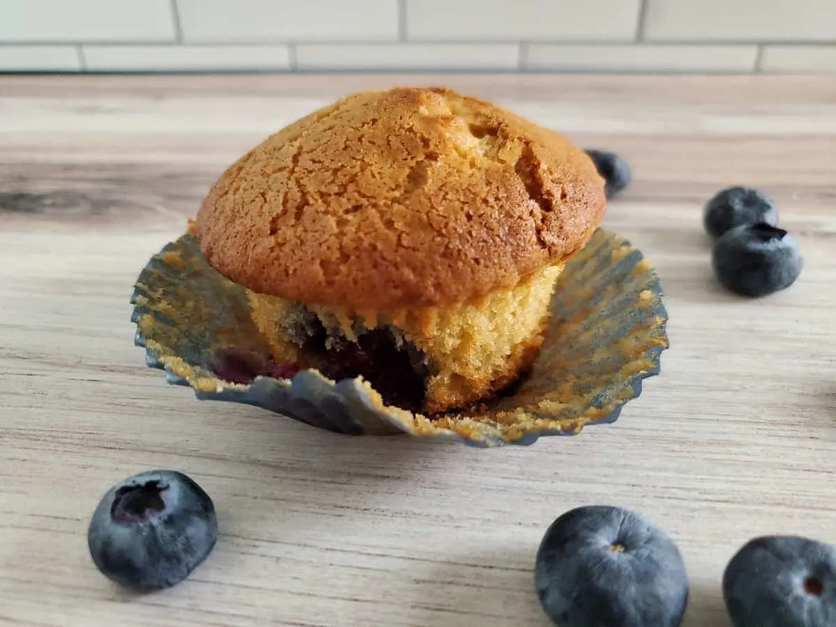 Sour Cream Blueberry muffin sitting in its wrapper.