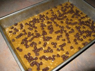 Chocolate Chip oat bars dough