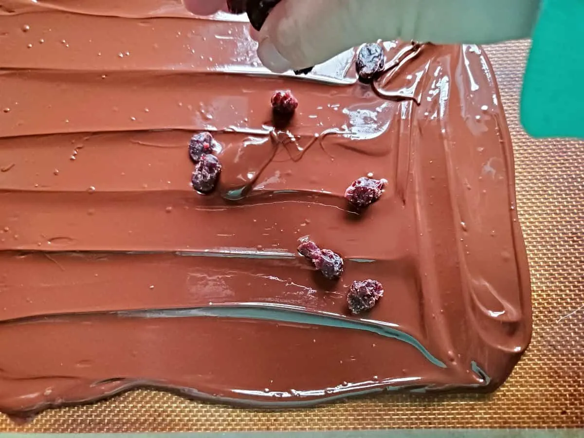 Dropping dried cranberries onto a sheet of melted chocolate.