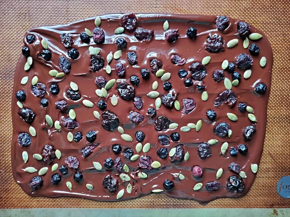 Sheet of melted dark chocolate bark with dried fruit and pepitas.