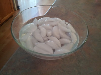 Bowl of water with ice cubes in it sitting on a counter.