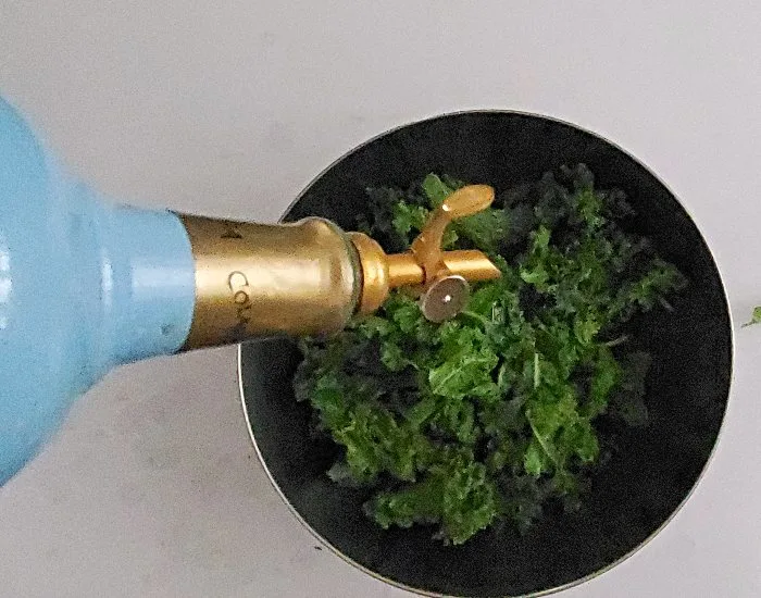 Add oil to kale leaves