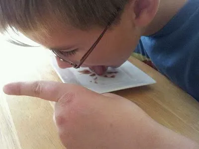 Boy licking a plate clean.