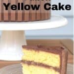 Slice of yellow cake with chocolate frosting in front of whole cake