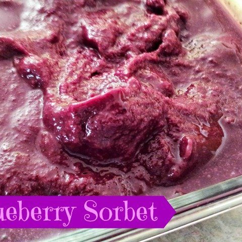 Homemade blueberry sorbet recipe. This delicious gluten free dessert is fun to make at home. Enjoy an easy blueberry lemon ice cream with no scary ingredients. #blueberry #icecream #sorbet #glutenfree