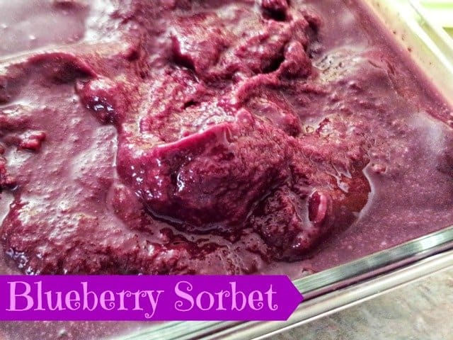 Homemade blueberry sorbet
