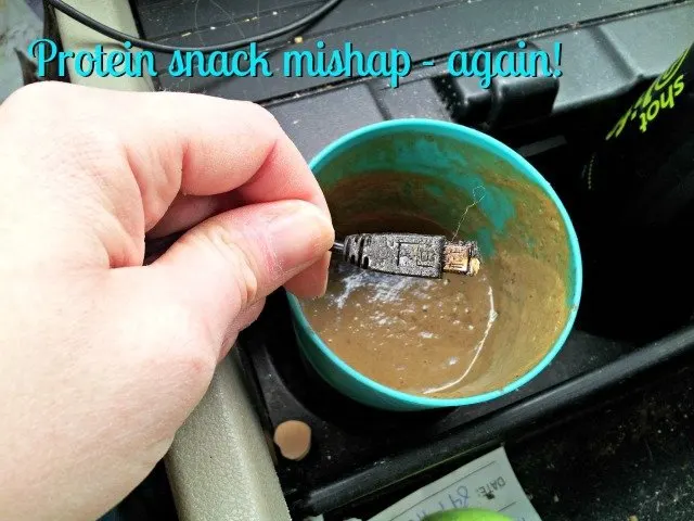 Car charger died after being dumped into smoothies one too many times