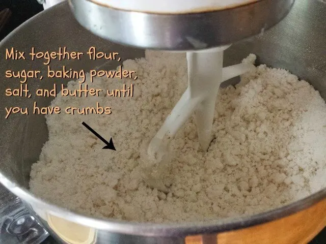 Mix dry ingredients with butter until crumbs form