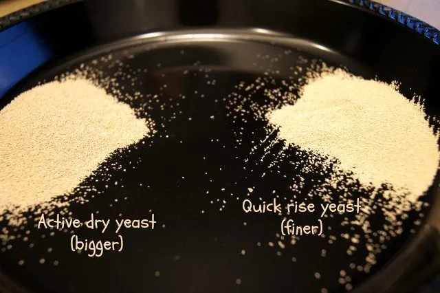 Rapid rise v active dry yeast