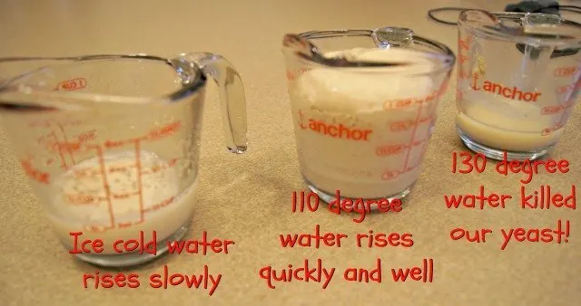 Effect of water temperature on yeast