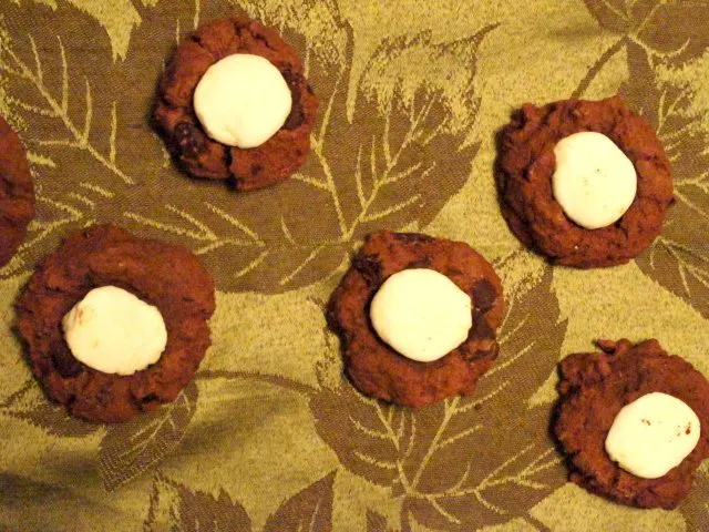 Group of hot chocolate cookies