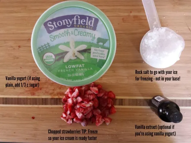 Ingredients for homemade strawberry frozen yogurt