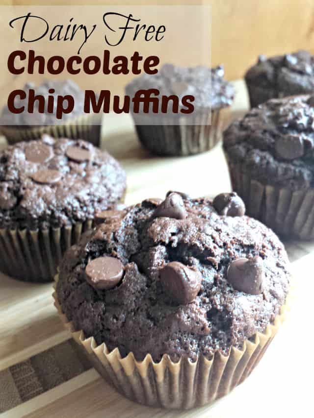 Dairy free chocolate chip muffins recipe