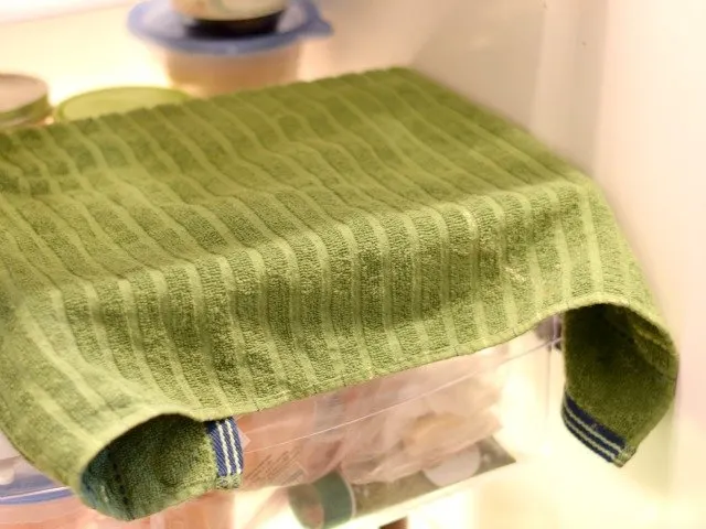 Place pumpkin rolls overnight in the fridge covered with a towel