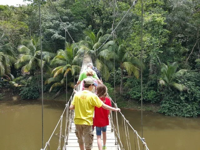 Walking across the bridge to the monkeys and birds