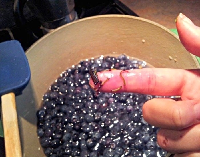 Stems from already cleaned blueberry mixture on a finger over the cooking syrup.