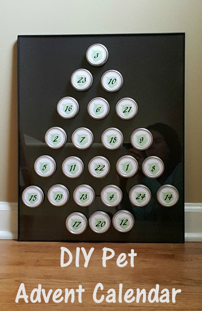 DIY pet advent calendar tutorial. Spoil your pets this Christmas with this make your own reusable advent calendar that features your pets with a free printable.