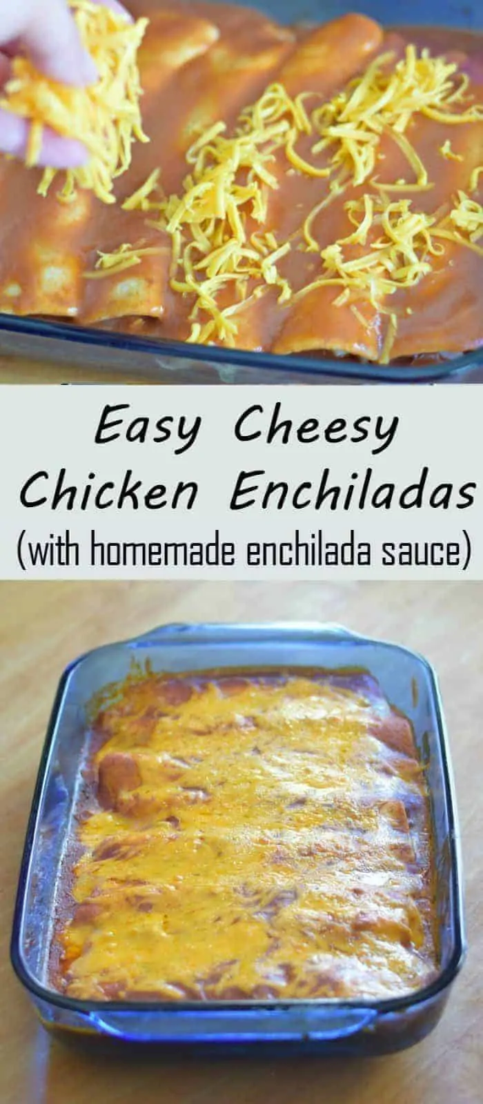 Easy cheesy chicken enchiladas recipe with homemade enchilada sauce. This kid friendly dinner is ready in about a half hour and uses flour tortillas to make it easier!