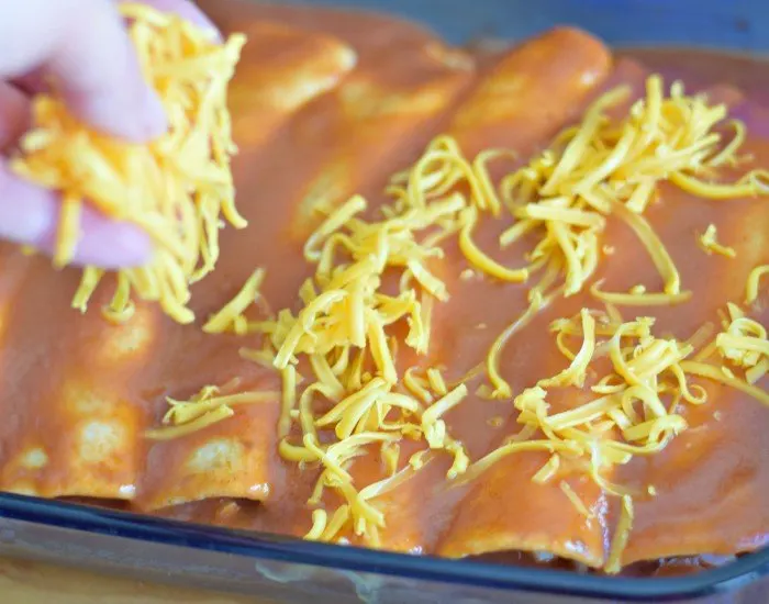 Top easy flour chicken enchiladas with shredded cheese