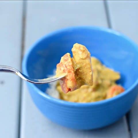Bite of Instant Pot Curry Chicken