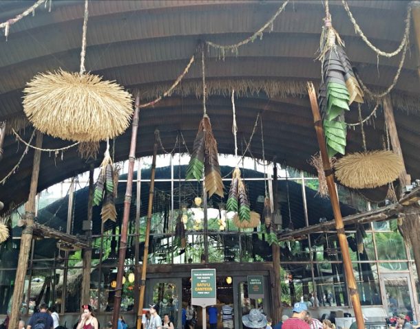 Animal Kingdom Dining Options: The New Santu'li Canteen in Avatar