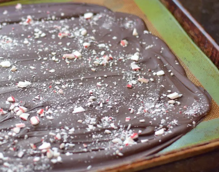 Spread melted chocolate and add peppermint