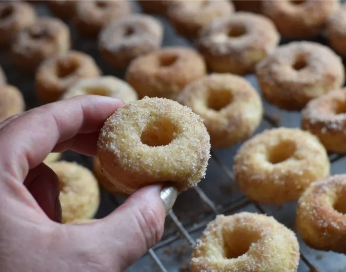 Baked cinnamon sugar donuts