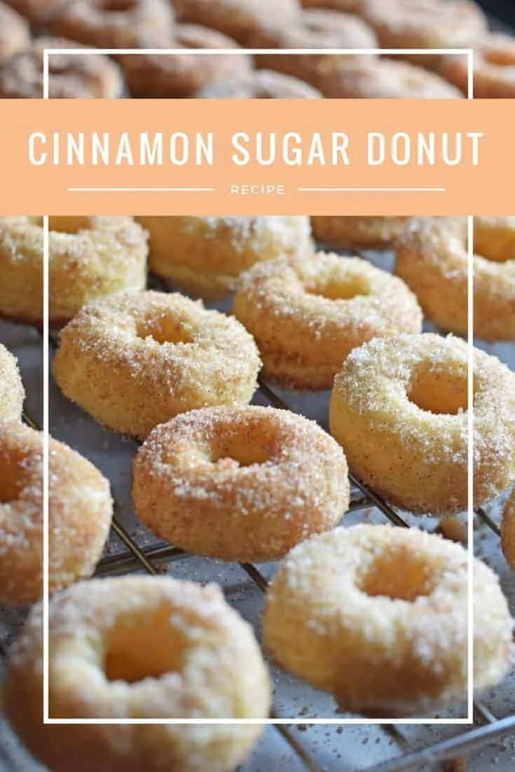 Homemade cinnamon sugar donuts recipe. These baked donuts are delicious with a little zing from a secret ingredient!