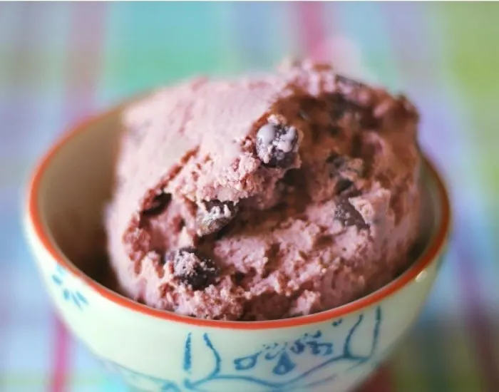 Blackberry chocolate chip ice cream recipe