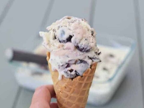 https://honestandtruly.com/wp-content/uploads/2018/07/Scoop-of-no-churn-cherry-chip-ice-cream-480x360.jpg