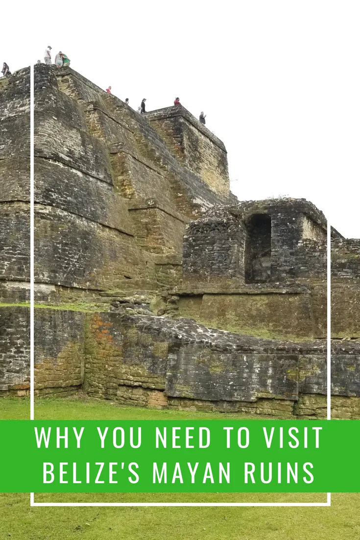 Why you need to visit Altun Ha Mayan ruins in Belize on your next cruise excursion. This fun shore excursion is great for families and while it has many stairs, it's a fantastic historical once in a lifetime experience on your next Caribbean vacation.