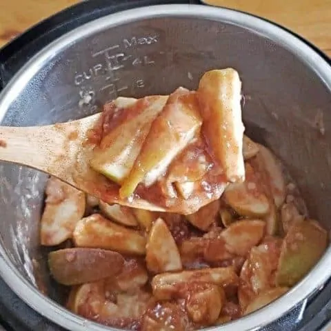 Instant Pot Cinnamon Apples