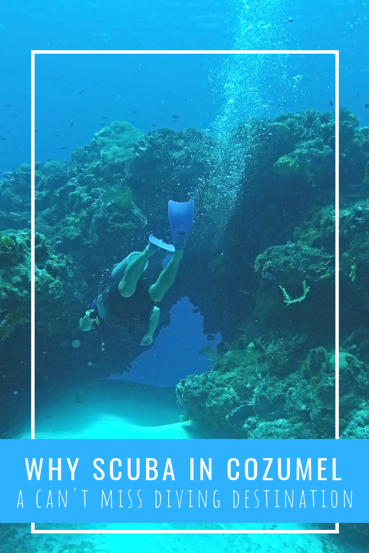 Cozumel scuba diving excursion: Enjoy a fun two tank dive with great dive masters in Santa Rosa and Yucab. See dogfish, sharks, and swim through holes. One of the best SCUBA diving trips in the world.