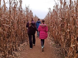 Explore Richardsons corn maze