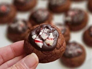 Best chocolate peppermint cookie