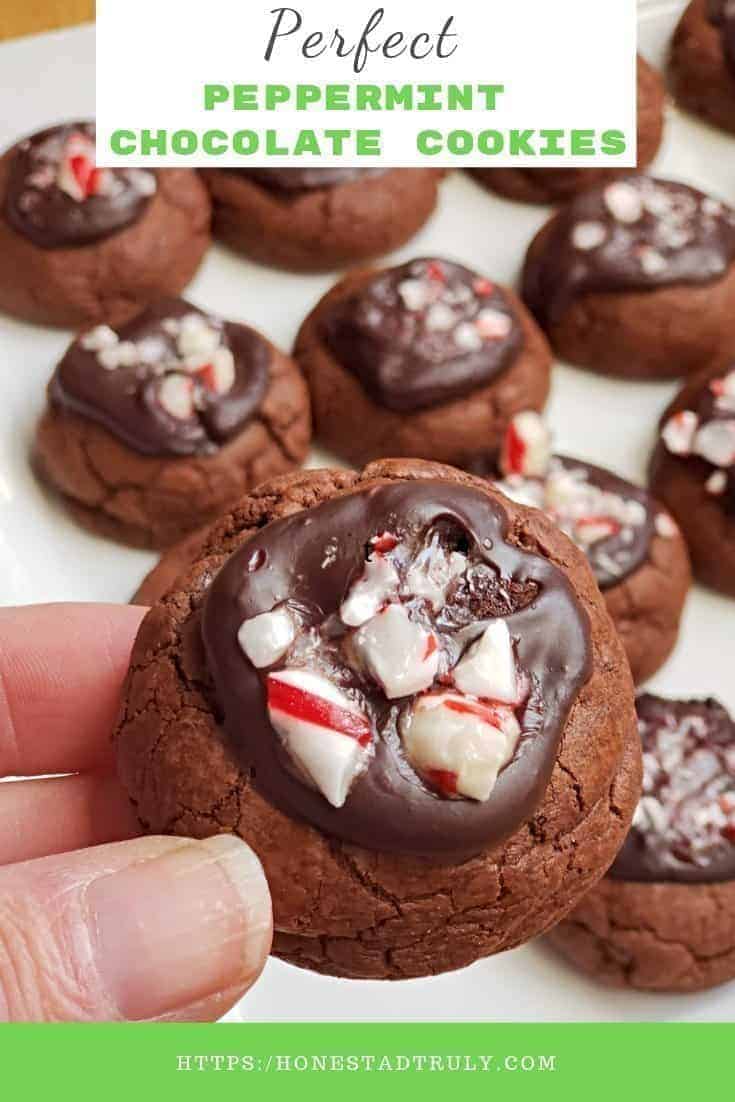 Easy Peppermint chocolate cookies recipe. These delicious and easy cookies look amazing and are a fun unique Christmas cookie. The subtle flavor of mint complements the fudgy chocolate perfectly. This is the perfect <a href=
