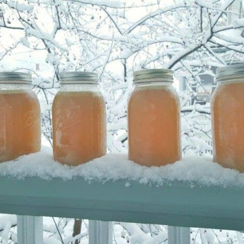 Instant Pot Chicken Stock