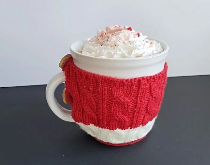 Homemade peppermint hot chocolate mug