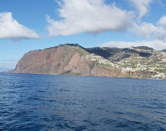 Cliffs of Madeira