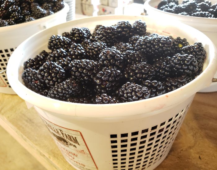 Southern Belle Farm blackberries