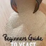 beginners guide to yeast