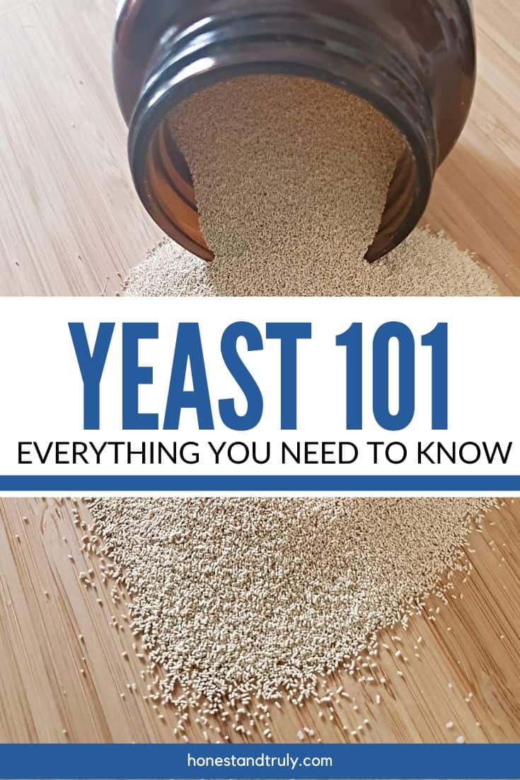 yeast 101