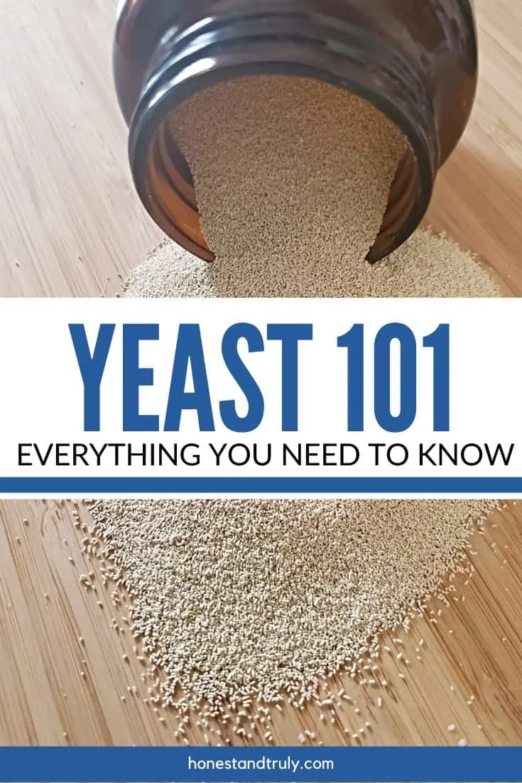 yeast 101
