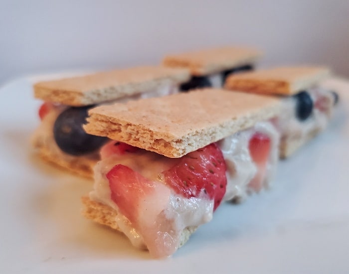 fruit ice cream sandwiches