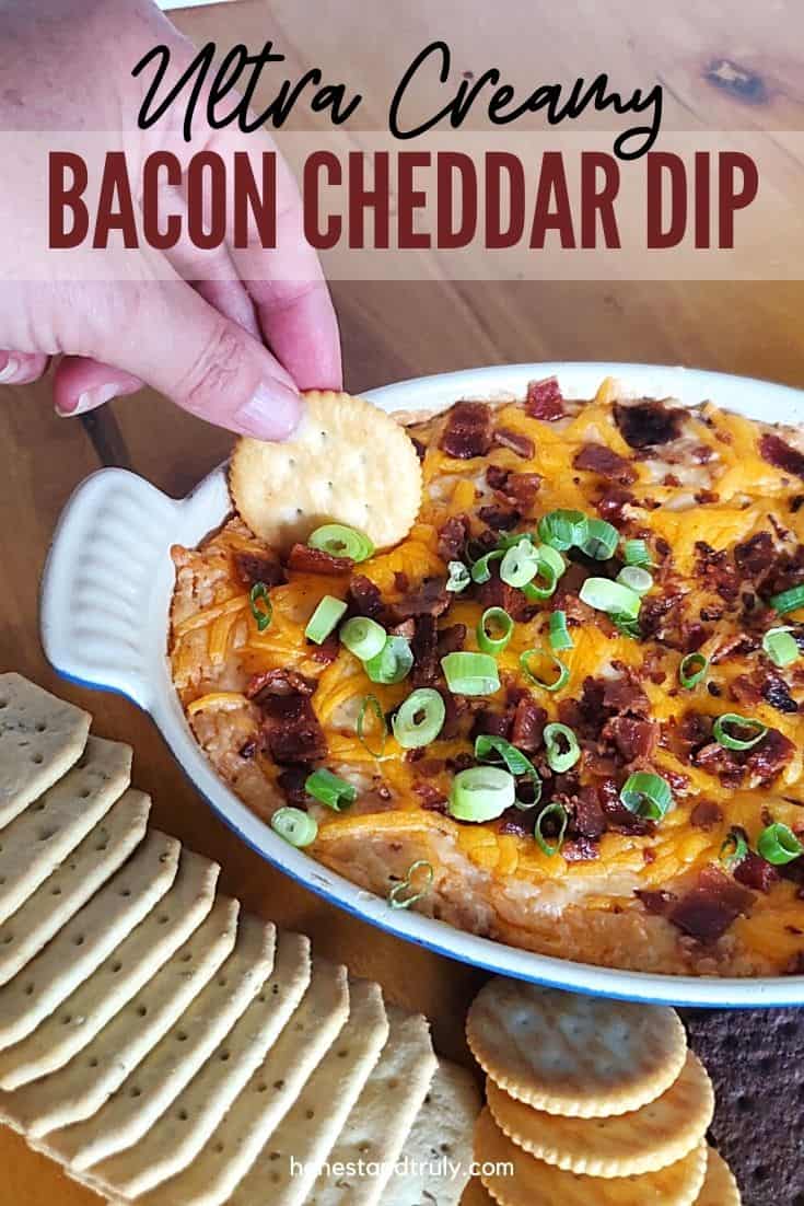 Bacon Cheddar Dip with a cracker