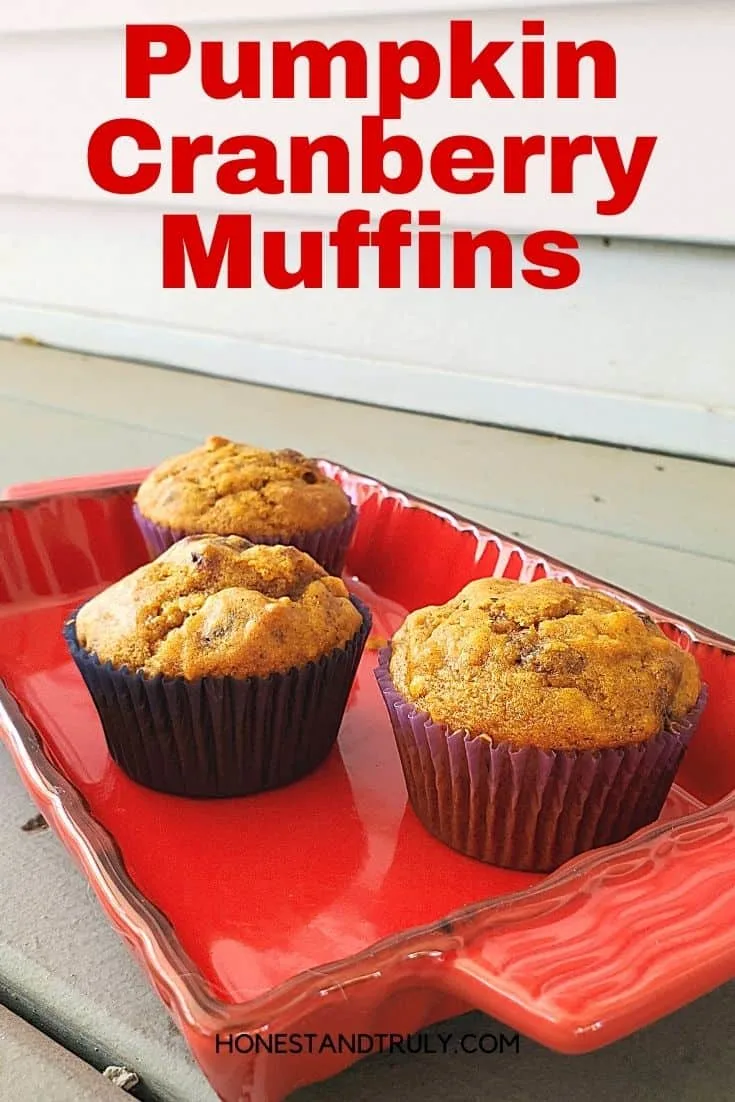 Three cranberry pumpkin muffins on a tray outside
